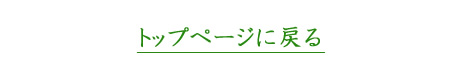 トップページへ